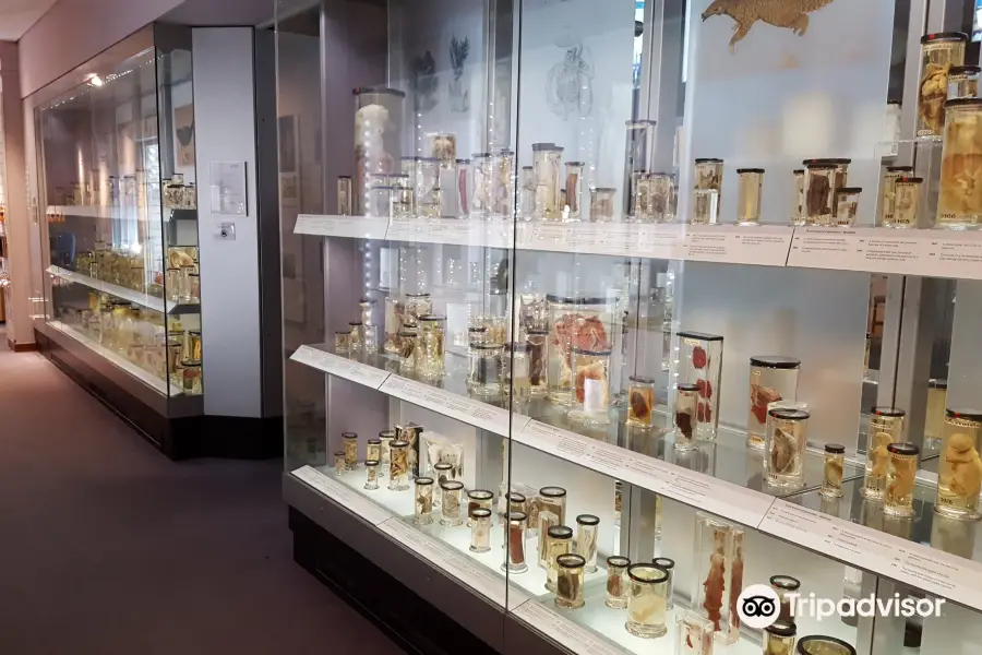 Hunterian Museum