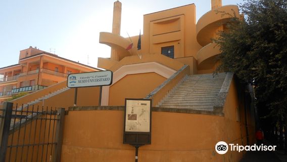 University Museum of Chieti