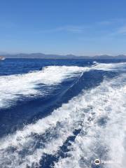 Les Bateaux Verts - Sainte-Maxime