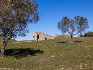 Necropoli dei Monterozzi di Tarquinia