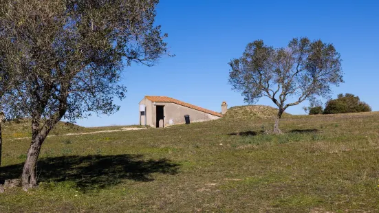 Necropolis of Tarquinia