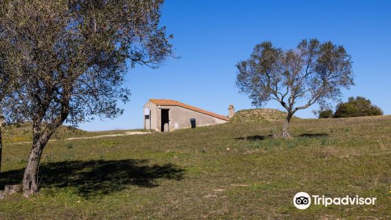 Necropolis of Tarquinia