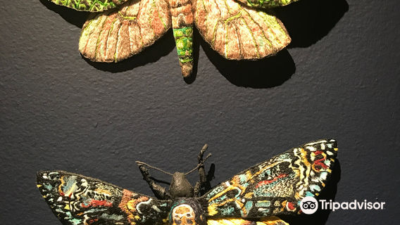 Whirinaki Whare Taonga