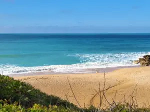 Calas de Roche
