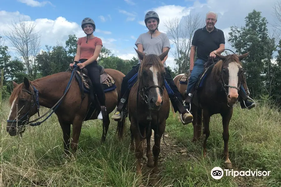 Ocoee HorseRide