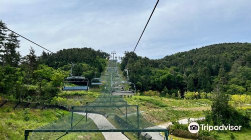 Skyline Luge Tongyeong