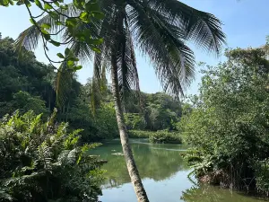 Parque Zoológico Nacional Arq. Manuel Valverde Podestá