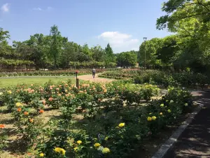 Kasugaike Park