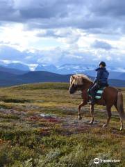 Ofelas Icelandic horses and guide service