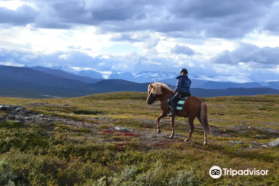 Ofelas Icelandic horses and guide service