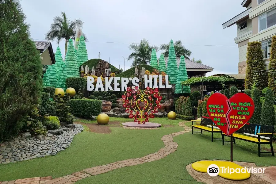 Baker's Hill Playground