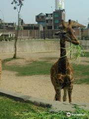 Parque Zoologico Huachipa