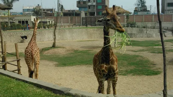 Parque Zoologico Huachipa