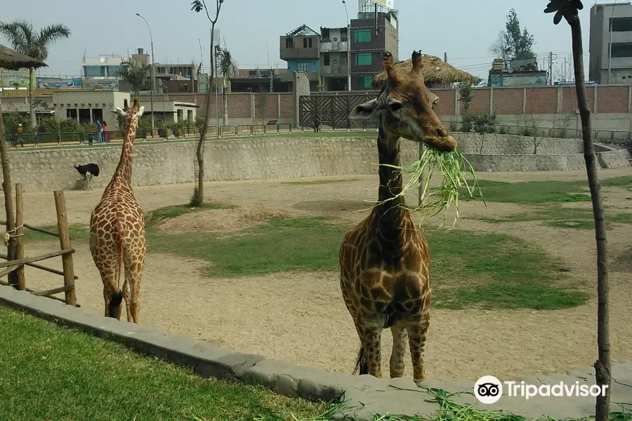 Parque Zoologico Huachipa