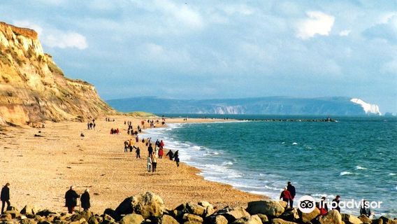 Hengistbury Head Beach