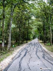 Jesse H. Jones Park & Nature Center