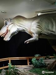 3D Space & Dinosaurs Museum