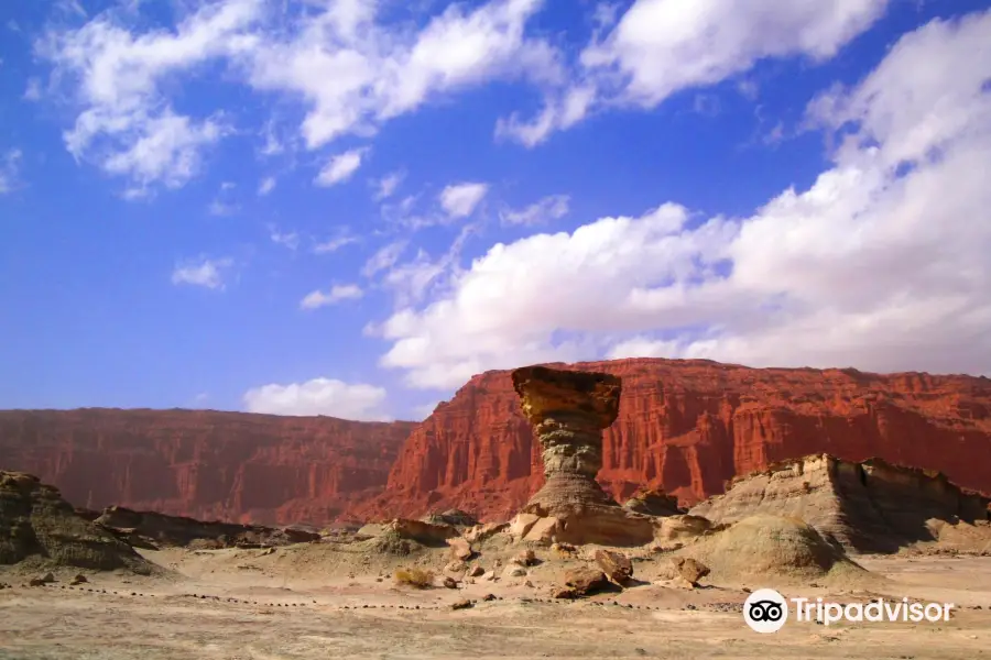 The Valley of the Moon