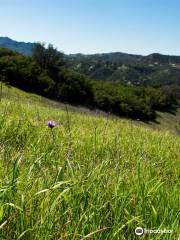 Topanga State Park