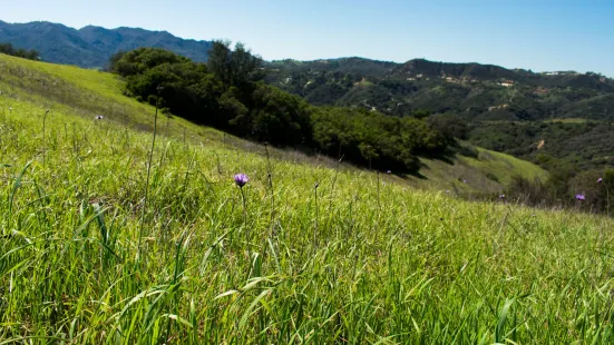 Topanga State Park