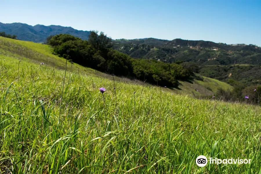 Topanga State Park