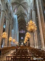 Bourges Cathedral