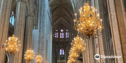 布爾日主教座堂