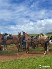 Wailea Horseback Adventure