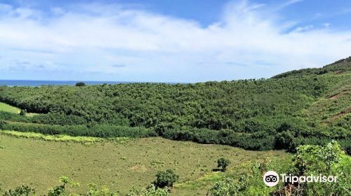 Wailua River State Park