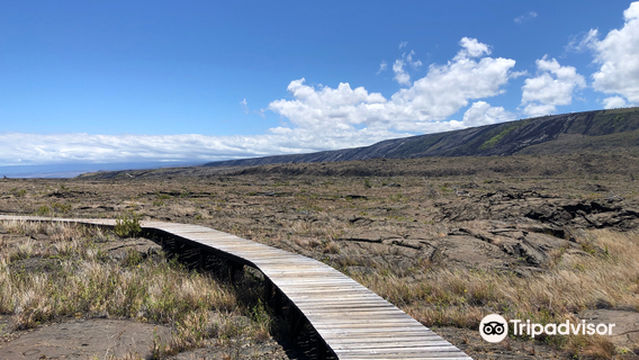 Pu‘uloa Petroglyphs