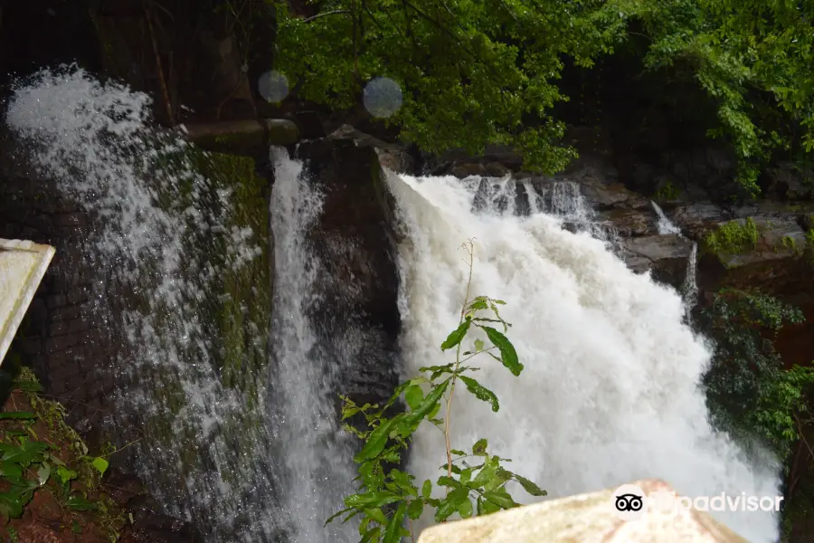 Harvalem Waterfalls