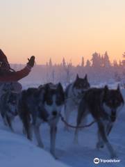 Tundra Huskies