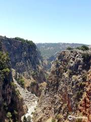 Liquid Bungy Aradaina