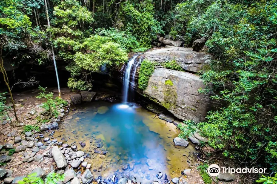 Buderim Forest Park