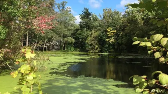 Bailey Arboretum