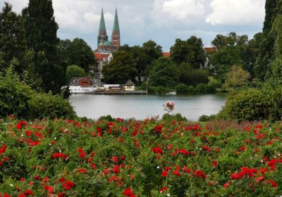 Dräger Park