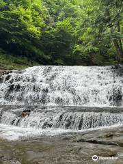 Salt Springs State Park