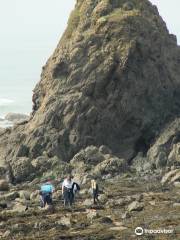 Widemouth Beach