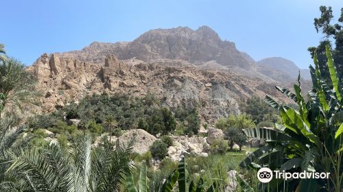 Wadi Tiwi