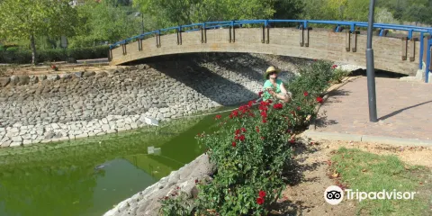 Monfort Lake