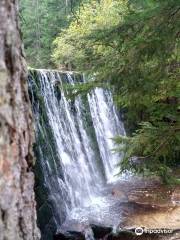 Wilder Wasserfall