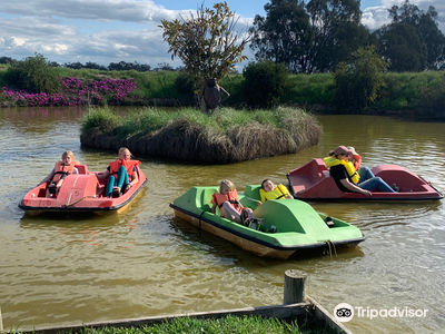 Billabong Ranch Adventure Park