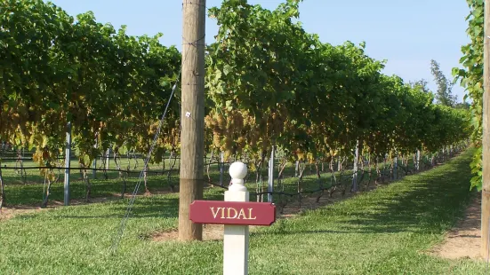 Vault Field Vineyards