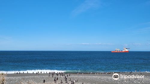 Cabo Vírgenes Cabo Virgenes