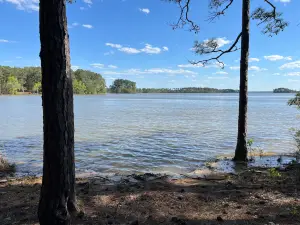 Hamilton Branch State Park