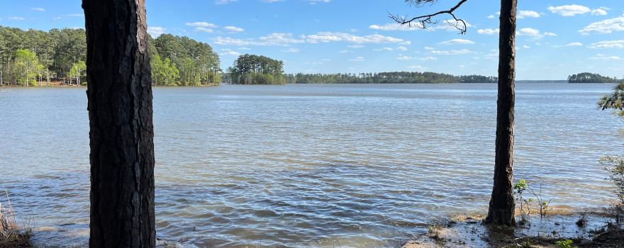Hamilton Branch State Park