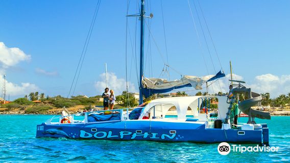 Delphi Watersports Aruba