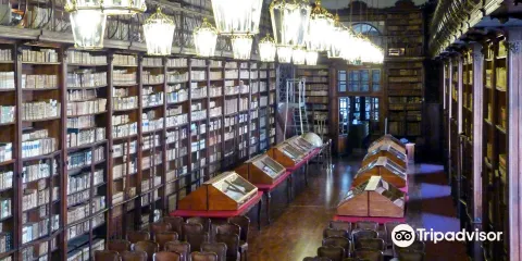 Biblioteca Universitaria di Pavia
