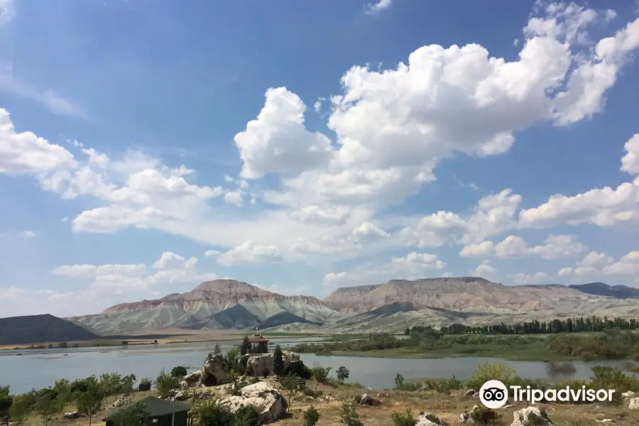 Nallıhan Bird Sanctuary