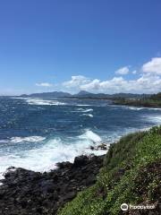 Kauai Cycle